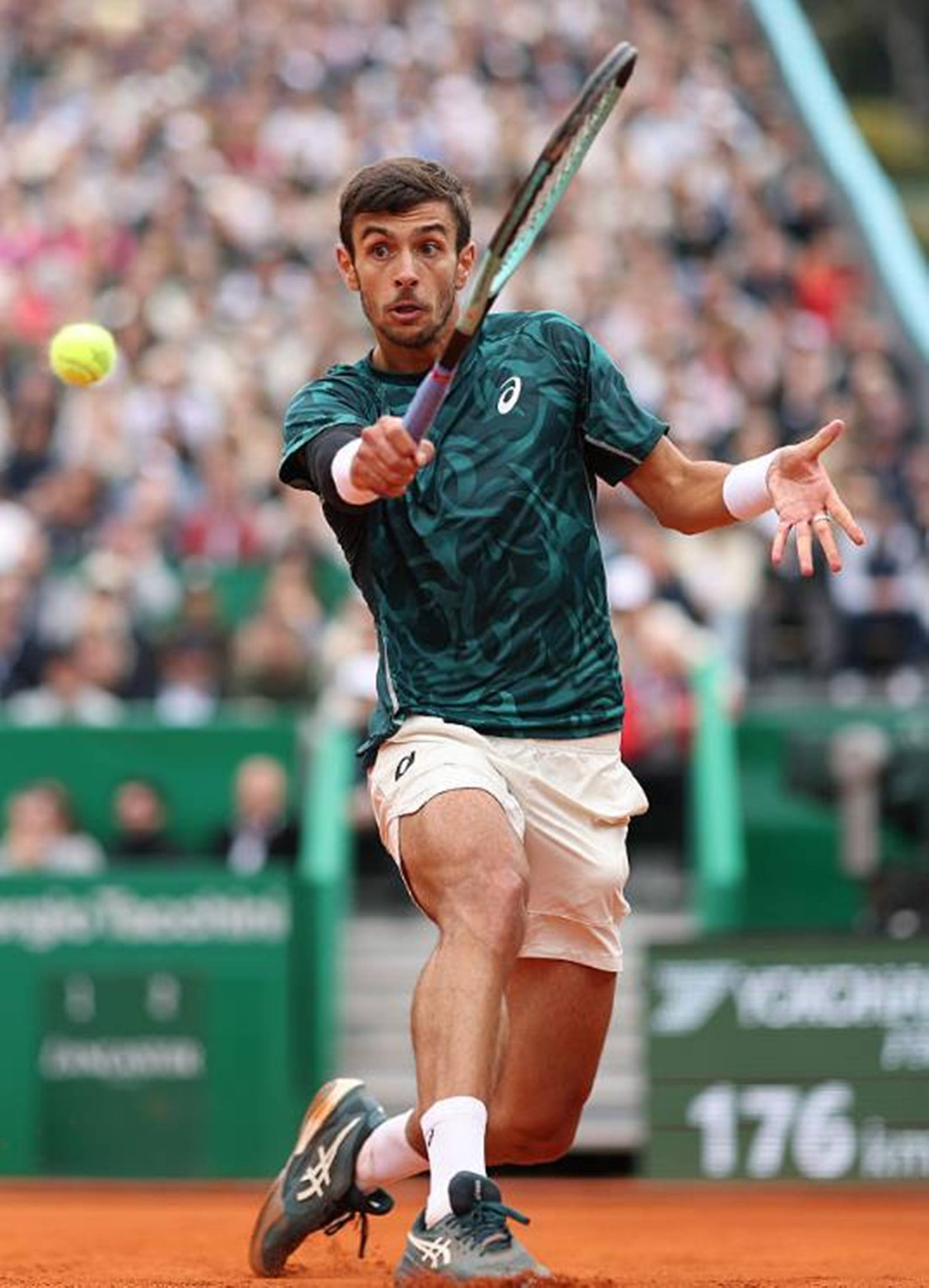 阿尔巴的严 阿尔巴的严